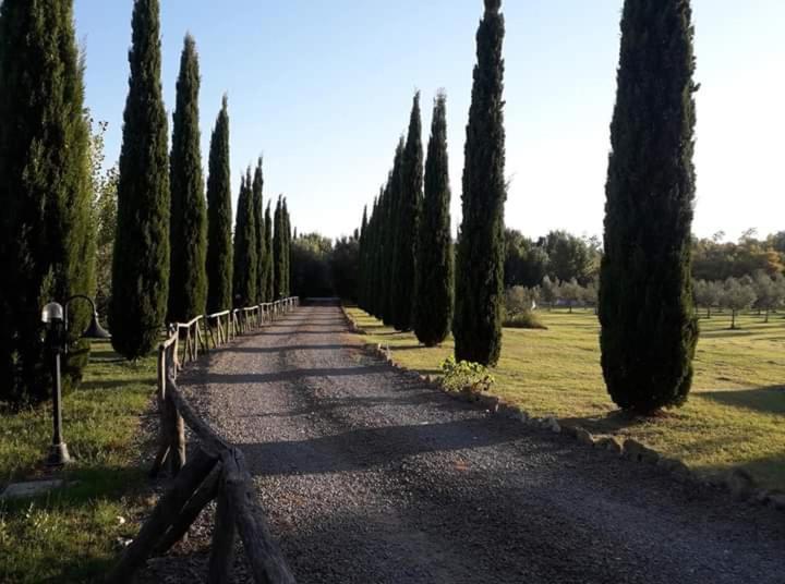 Agriturismo Lupo Cerrino Tarquinia Bagian luar foto